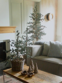 Larix boom L brynxz