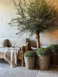 Buitenpot AP 54x56cm