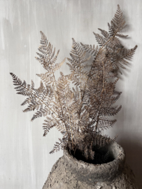 Leaf Fern Spray Brown