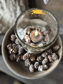Mini dennenappeltjes