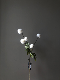 Pompom bloem