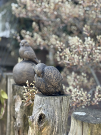 Vogel - majestic brown