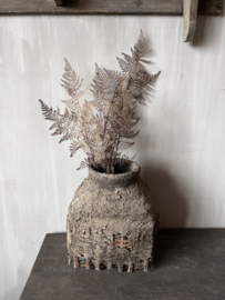 Leaf Fern Spray Brown