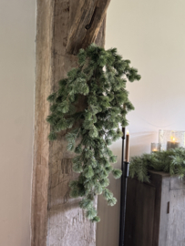 Larix toef real touch