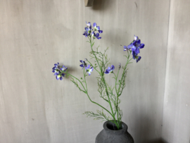 Wild Delphinium bleu