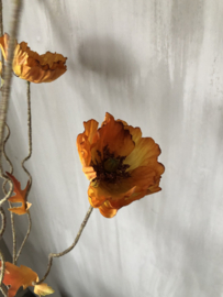 Poppy twist oranje