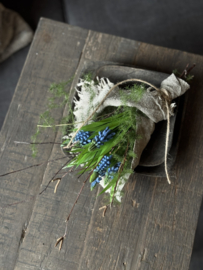 Toefje kunst blauwe druif