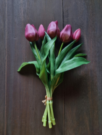 Zijde tulpen kort - paars
