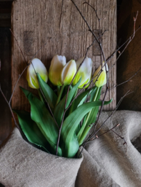 Zijde tulpen kort - wit