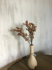 Gypsophilia bundel