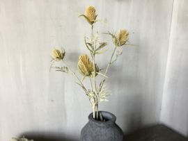 Thistle spray light yellow