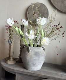 Zijde papegaaitulp - wit