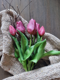 Zijde tulpen kort - paars