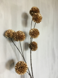Goude pom pom