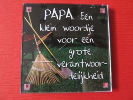 PAPA. Een klein woordje voor een grote verantwoordelijkheid (Magneet 015)