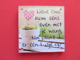 Lieve oma kom eens even met je wang, dan plant ik er een kusje op (Magneet 050)