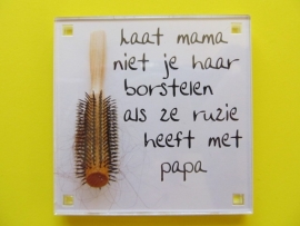 Laat mama niet je haar borstelen als ze ruzie heeft met papa (Magneet 138-L)