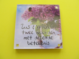 Zus & vriendin twee woorden met dezelfde betekenis (Magneet 053)