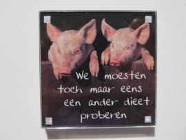 We moesten toch maar eens een ander dieet proberen (Magneet 068-L)