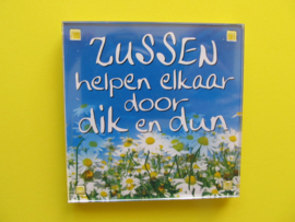 Zussen helpen elkaar door dik en dun (Magneet 057)