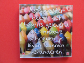 Assepoester heeft het bewijs geleverd dat nieuwe schoenen je leven kunnen veranderen (Magneet 123)