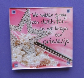 We wilden graag een dochter… en we kregen een prinsesje (Magneet 050-V)