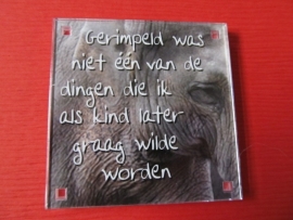 Gerimpeld was niet één van de dingen die ik als kind later graag wilde worden (Magneet 146-X)