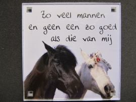 Zo veel mannen en geen een zo goed als die van mij (Magneet 079)