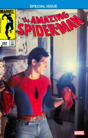 Amazing Spider-Man (1963-1998)  262