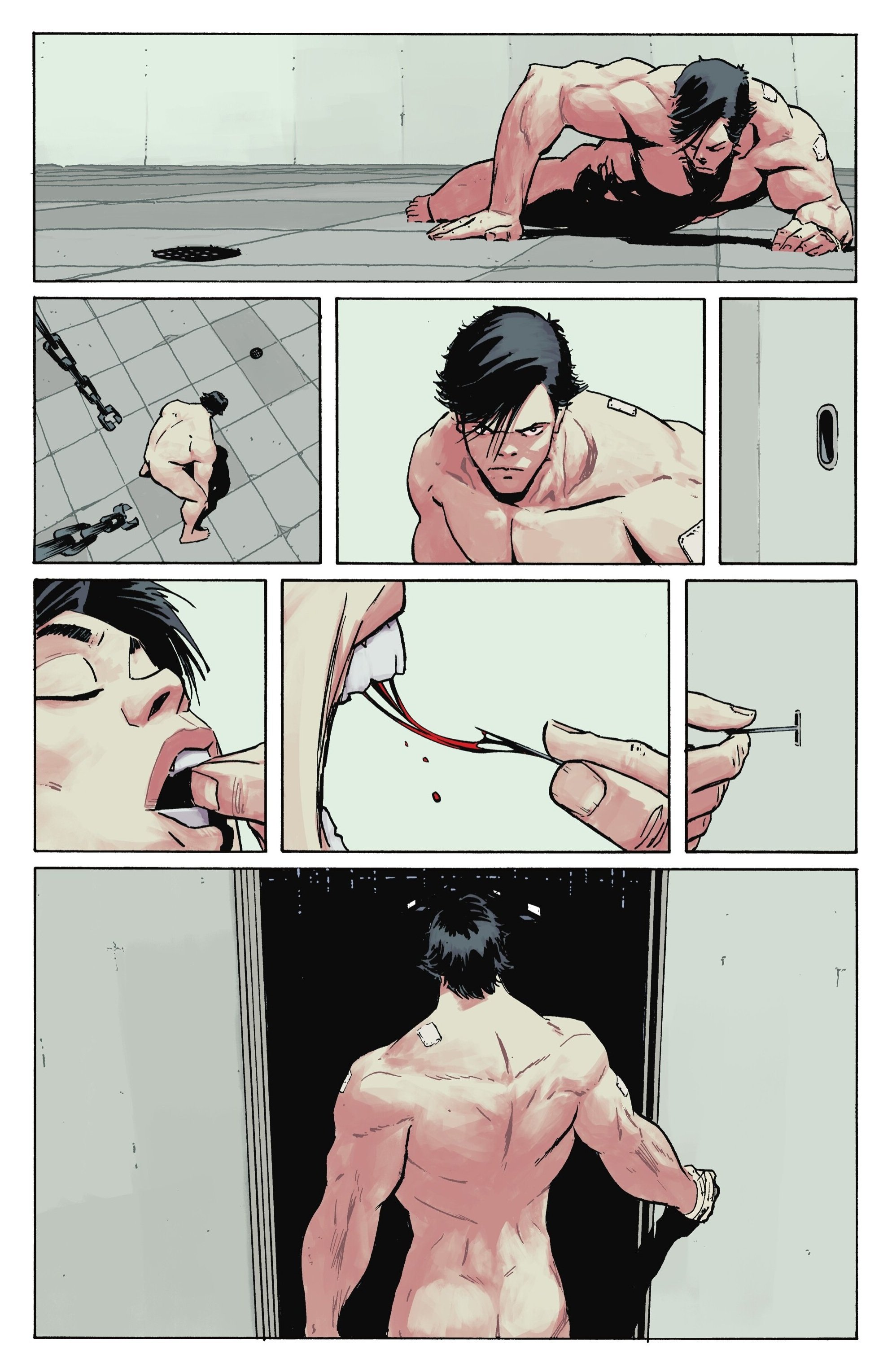 Absolute Batman   10