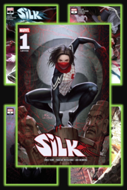 Silk (2022-2022)