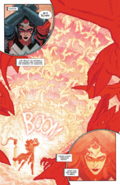 Absolute Wonder Woman    1