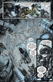 Batman/ Teenage Mutant Ninja Turtles III    2