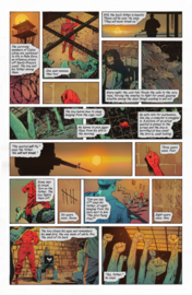 Absolute Batman   11