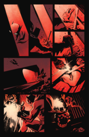 Batman & Robin: Year One    4