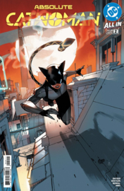 Absolute Catwoman    2
