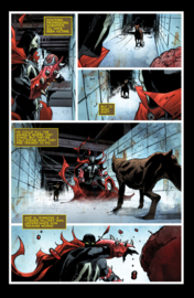 King Spawn   21