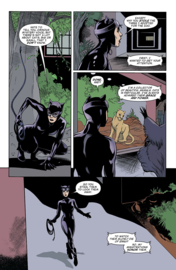 Catwoman 80th Anniversary Special Edition