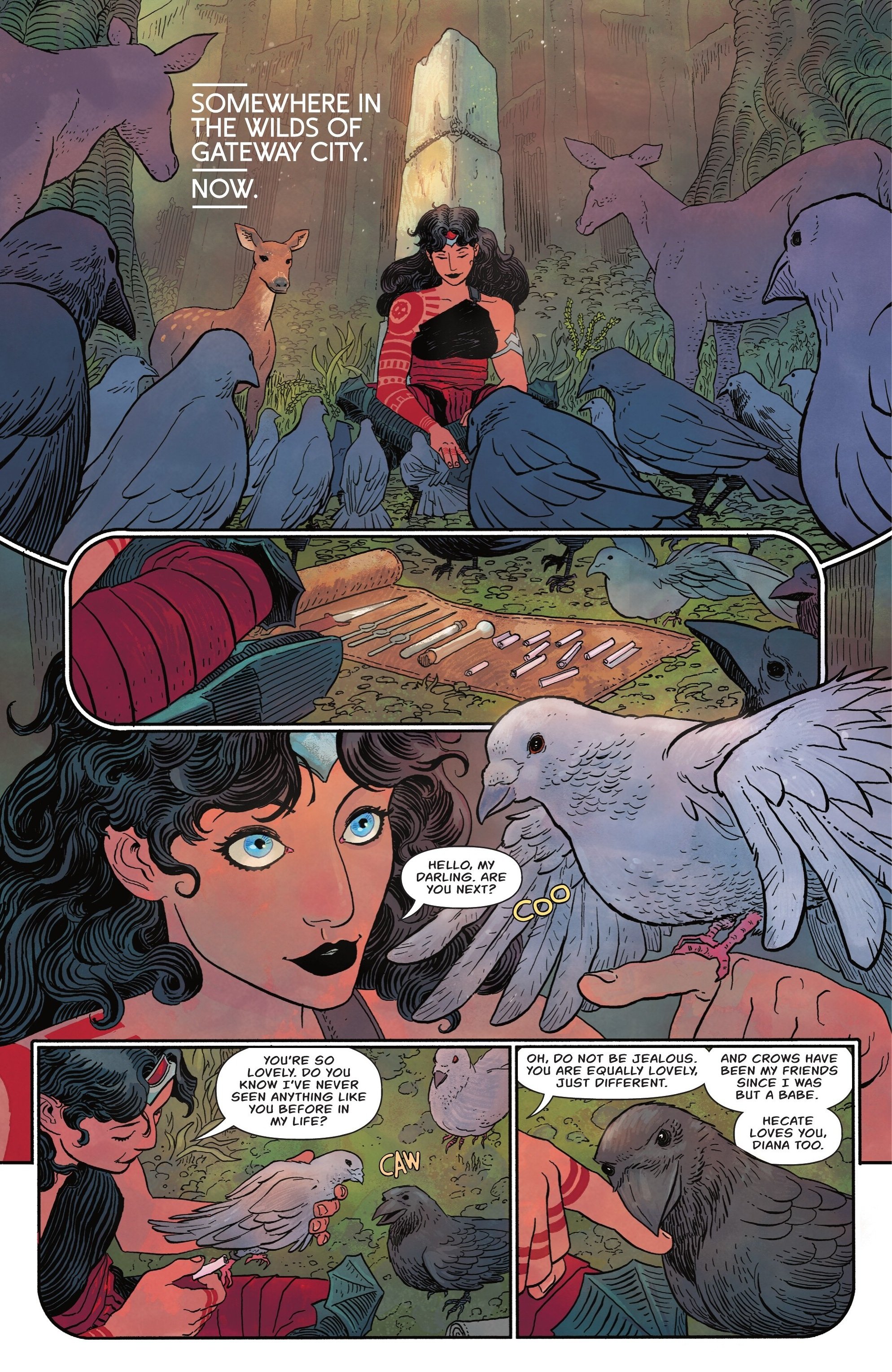 Absolute Wonder Woman    8
