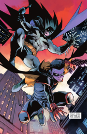 Batman vs Robin    1