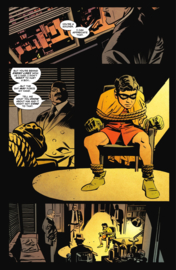 Batman & Robin: Year One    6