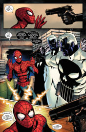 The Spectacular Spider-Man, Brand New Day    2