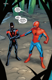 Spectacular Spider-Men   11