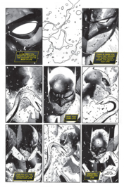 Batman: Black & White (2021-2021)    3