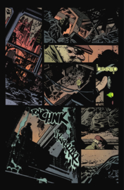 Batman & Robin: Year One   11