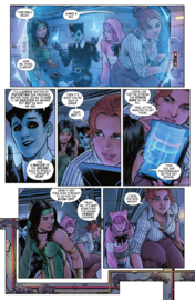 Cheetah & Cheshire: Rob the Justice League    5