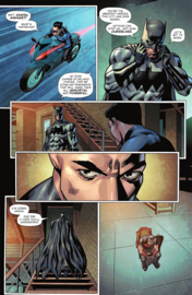 Batman/ Catwoman Gotham War: Scorched Earth