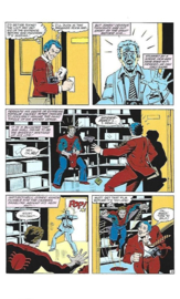 Amazing Spider-Man (1963-1998)  262