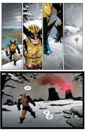 Wolverine: Revenge    3