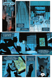 Absolute Catwoman    1
